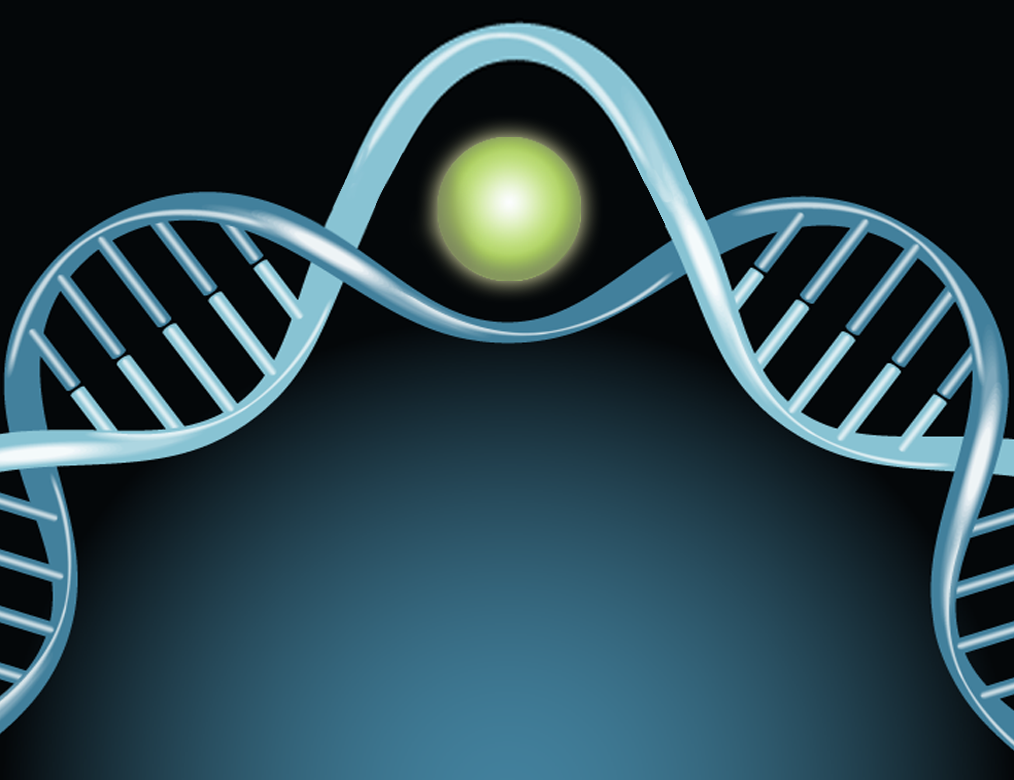 Aptamer and Nucleic acid Assays