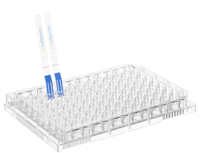 Lateral Flow Assay