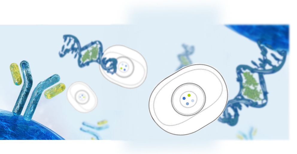 Vertical Flow Assay Development