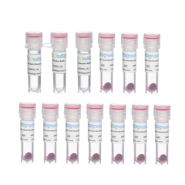 80nm NHS-Activated Gold Nanoparticle Conjugation Kit (10 Reactions)