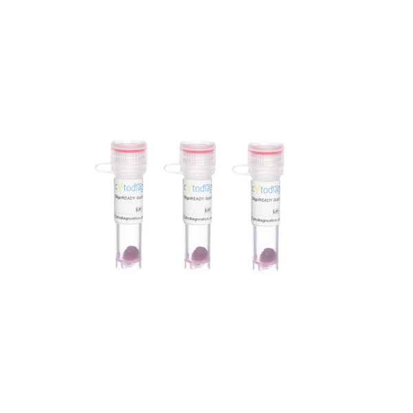 70nm OligoREADY Gold Nanoparticle Conjugation Kit