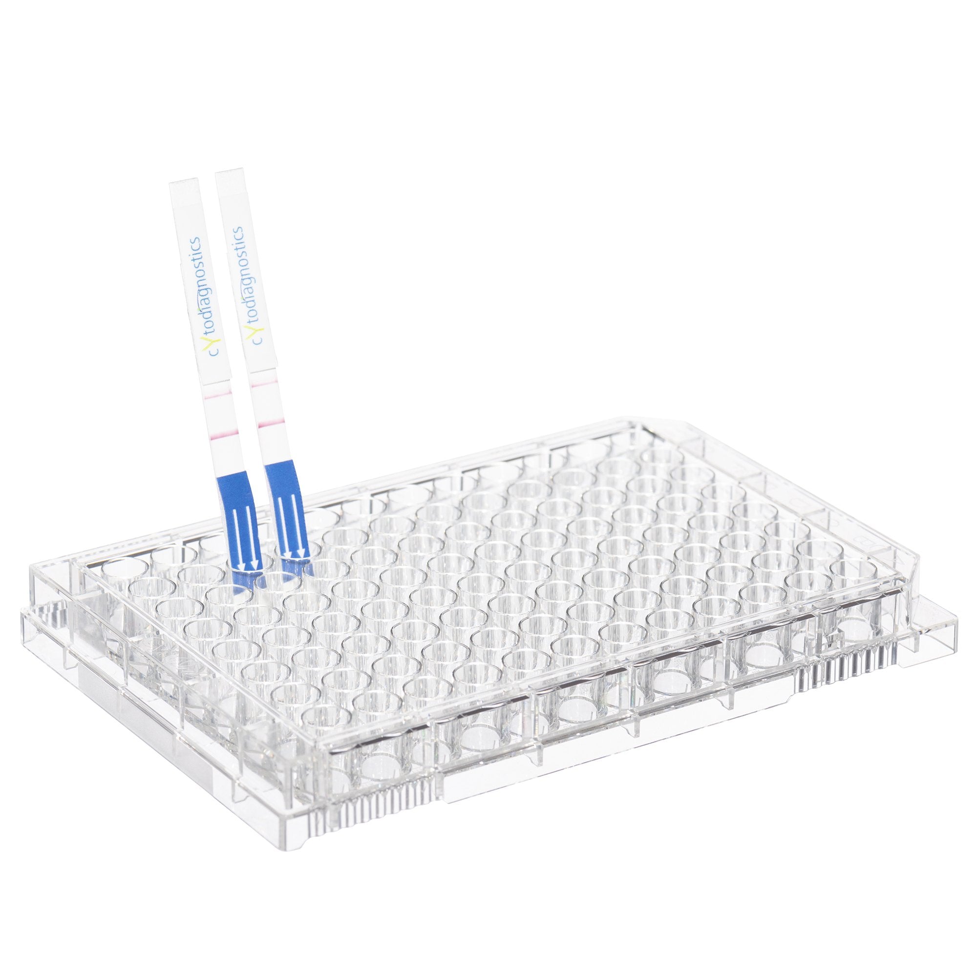 Rabbit IgG Fc Lateral Flow Dipstick Assay Kit CytoGroup