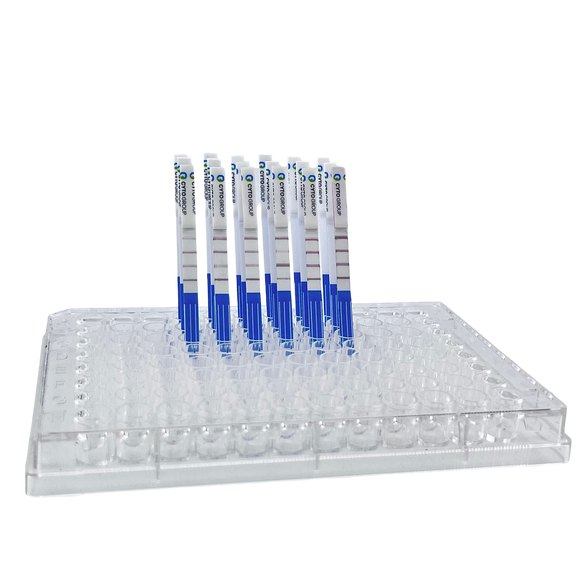 Lateral Flow "DIY" Assay Kit