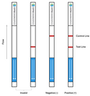 Rabbit IgG Fc Lateral Flow Dipstick Assay Kit-2