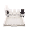 Human IgG ELISA Kit