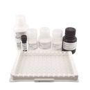 Mouse IgG ELISA Kit-2
