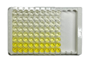 Mouse IgG ELISA Kit