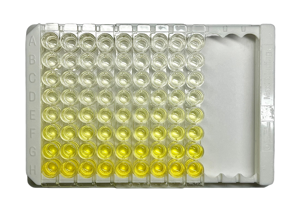 Mouse IgG ELISA Kit
