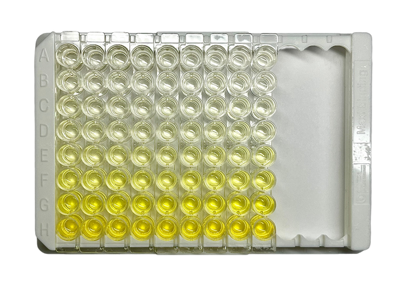 Rabbit IgG ELISA Kit