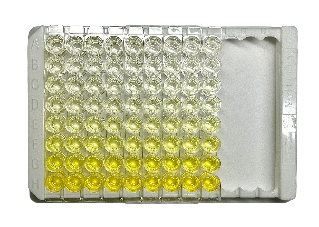 Human Thrombin ELASA Kit | CytoGroup