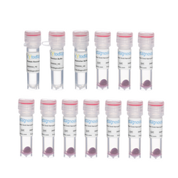 5nm NHS-Activated Gold Nanoparticle Conjugation Kit (10 Reactions)