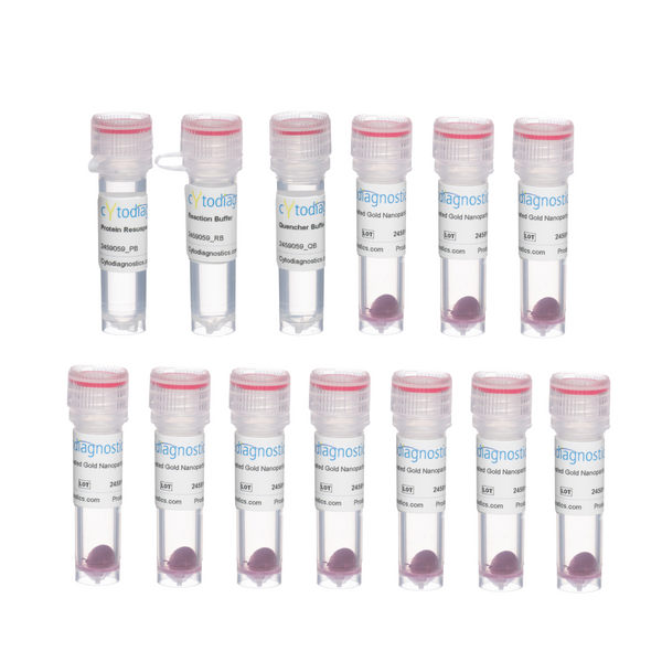 5nm NHS-Activated Gold Nanoparticle Conjugation Kit (10 Reactions)