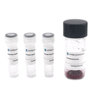 15nm NHS-Activated Gold Nanoparticle Conjugation Kit-3