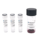 50nm NHS-Activated Gold Nanoparticle Conjugation Kit
