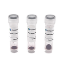 70nm OligoREADY Gold Nanoparticle Conjugation Kit
