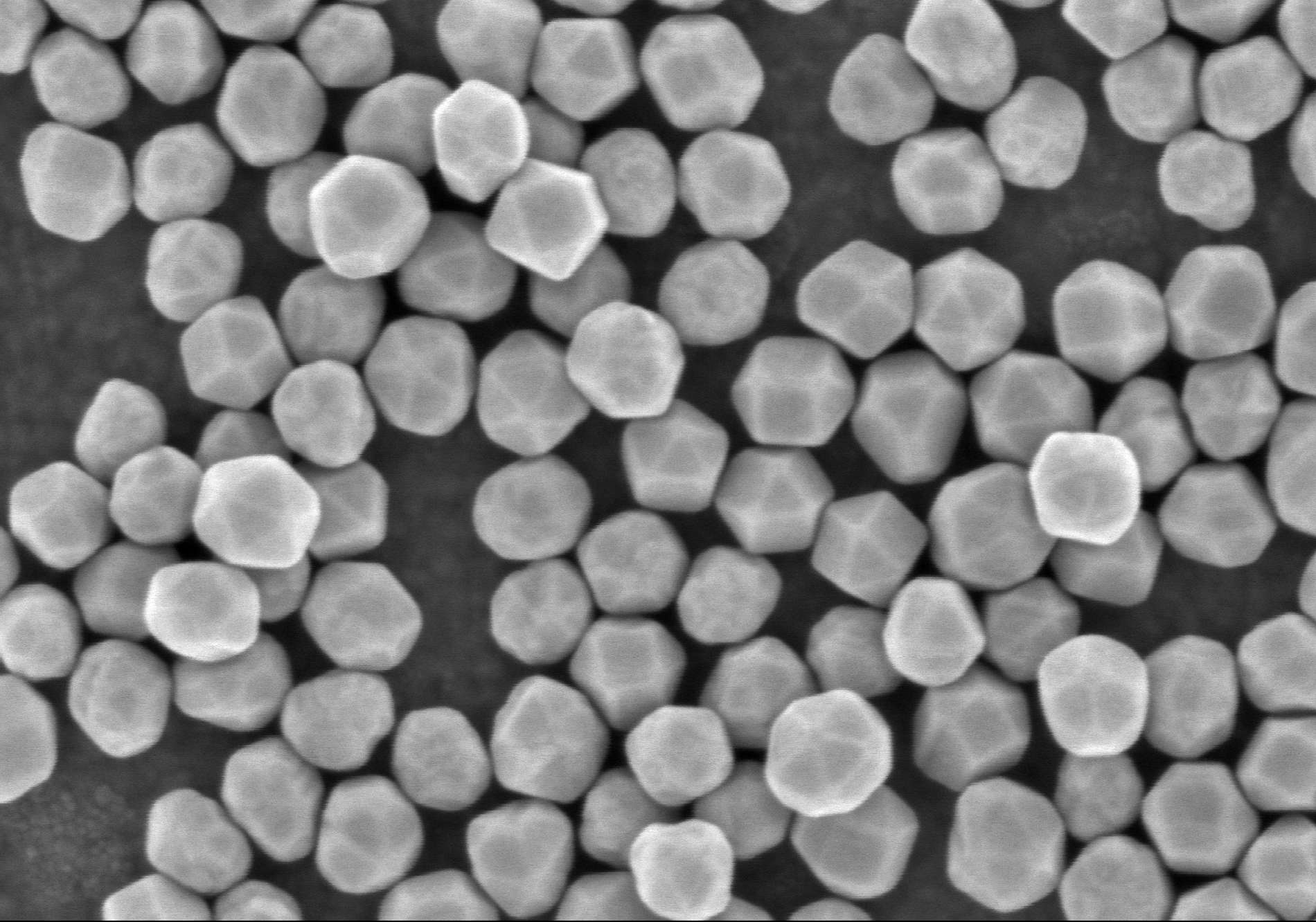Sem gold nanoparticles 1