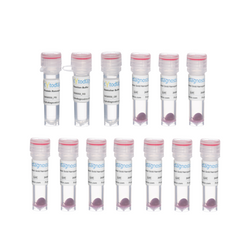 30nm Maleimide-Activated Gold Nanoparticle Conjugation Kit (10 Reactions)