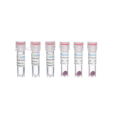 40nm Maleimide-Activated Gold Nanoparticle Conjugation Kit
