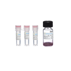 5nm Maleimide-Activated Gold Nanoparticle Conjugation Kit (MIDI Scale-Up Kit)