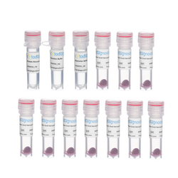 60nm NHS-Activated Gold Nanoparticle Conjugation Kit (10 Reactions)