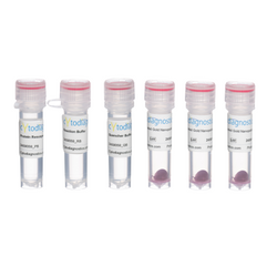 5nm NHS-Activated Gold Nanoparticle Conjugation Kit (3 Reactions)