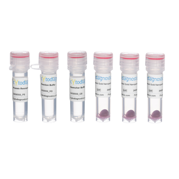 5nm NHS-Activated Gold Nanoparticle Conjugation Kit (3 Reactions)