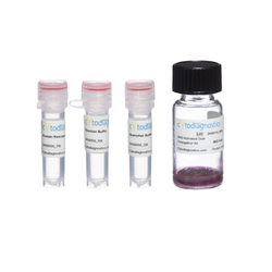 30nm NHS-Activated Gold Nanoparticle Conjugation Kit (MIDI Scale-Up Kit)