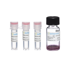 70nm NHS-Activated Gold Nanoparticle Conjugation Kit (MIDI Scale-Up Kit)