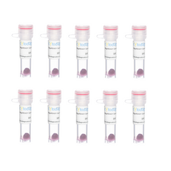 90nm AptamerREADY Gold Nanoparticle Conjugation Kit (10 reactions)