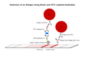 Universal Lateral Flow Assay